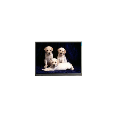 Buon prezzo 23.6 pollici 1920*1080 FHD M236HGE-P02 schermo LCD in linea