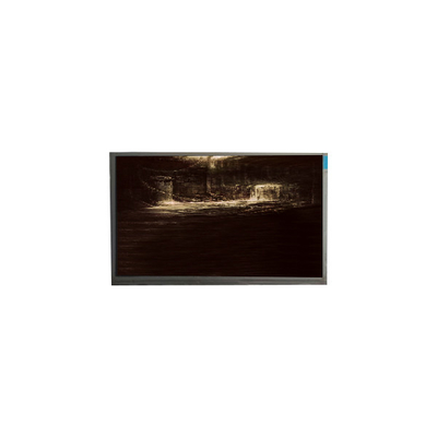 Buon prezzo P116NWR1 R6 11,6 pollici TFT LCD Display Panel monitor in linea