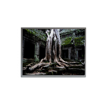 Buon prezzo TMS190WX1-50TB 30 pin 19,0 pollici schermo LCD 1440*900 pannello LCD in linea