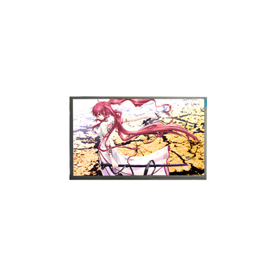 Buon prezzo BT101IW01 V.0 10,1 pollici 1024*600 LVDS schermo LCD a 60Hz in linea