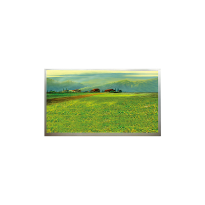 Buon prezzo N173H6-L04 1920*1080 17,3 pollici LCD in linea