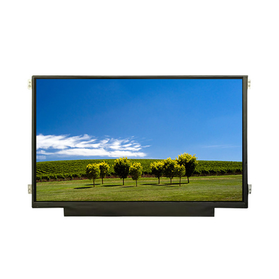 Buon prezzo 1280*720 B101EW01 V0 10,1 pollici 60Hz LCD Display Monitor in linea