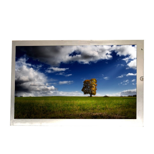 Esposizione a 7,0 pollici RGB 800X480 di NL8048BC19-02C TFT LCD per attrezzatura industriale