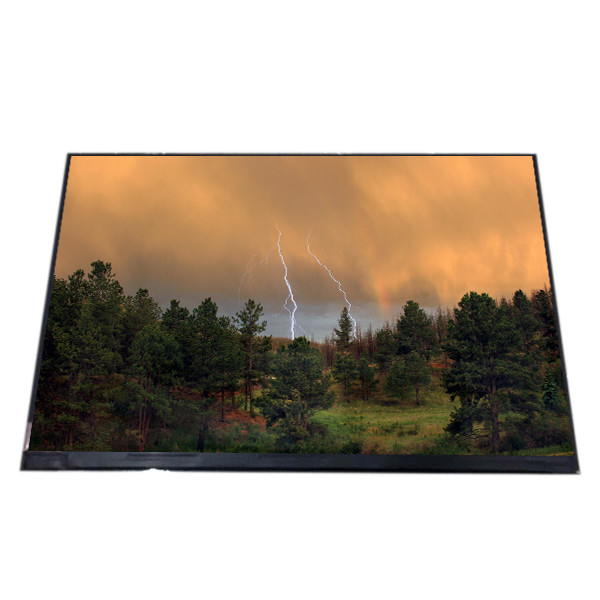 Modulo RGB a 10,1 pollici 1280X800 WXGA di BOE GV101WXM-N81-D850 TFT LCD per uso industriale