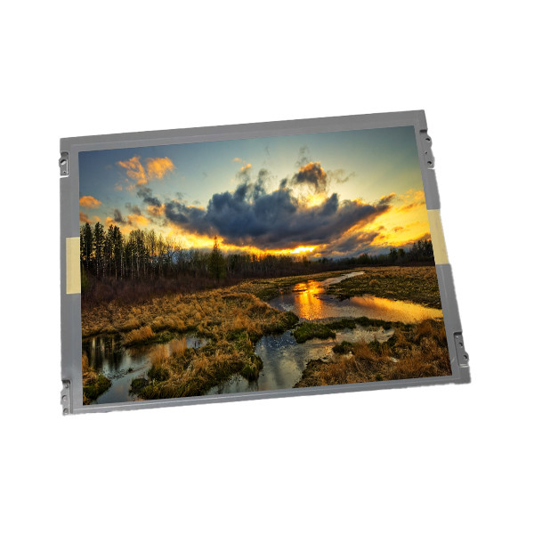 Originale da 12.1 pollici Per TIANMA 1024*768 Pannello del Modulo di Visualizzazione Dello Schermo LCD TM121TDSG02 per pannello lcd industriale 105ppi