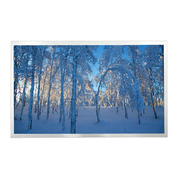 Display LCD industriale da 15,6 pollici G156XTN01.0 Monitor LCD Sostituzione display touch screen