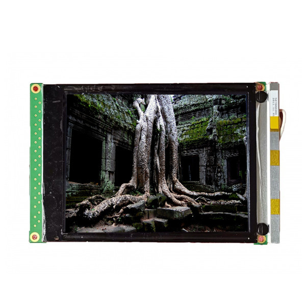 Esposizione di pannello LCD industriale a 5,4 pollici 320*240 DMF-50840NB-FW-ASE-BFN