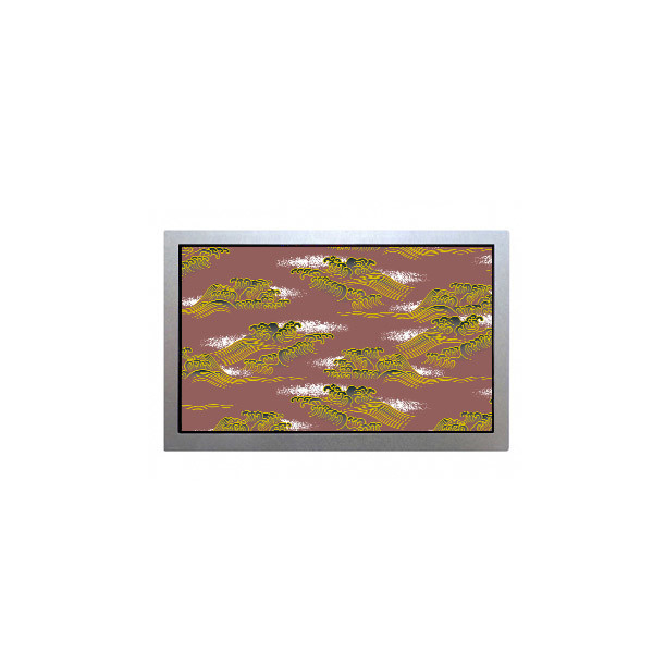 AA090MC01--T1 9.0 pollici 800*480 LCD touch screen display panel per industria
