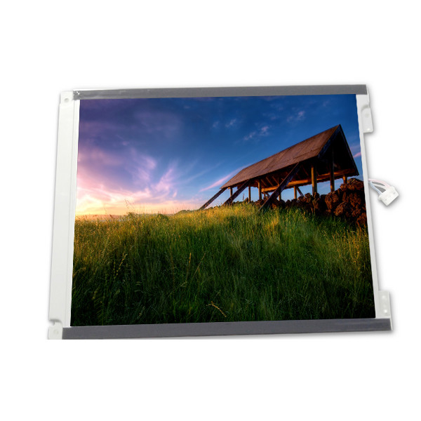 LM64C350 Pannello LCD 10,4 pollici 640*480 STN CCFL 31 pin LCD Modulo Display
