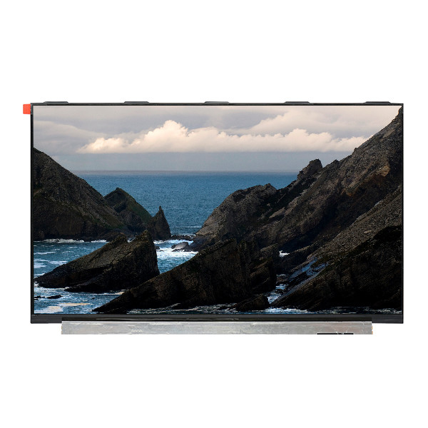 LQ133M1JW21 Display LCD TFT da 13,3 pollici 1920*1080 eDP Sistema di segnalazione a 2 corsie
