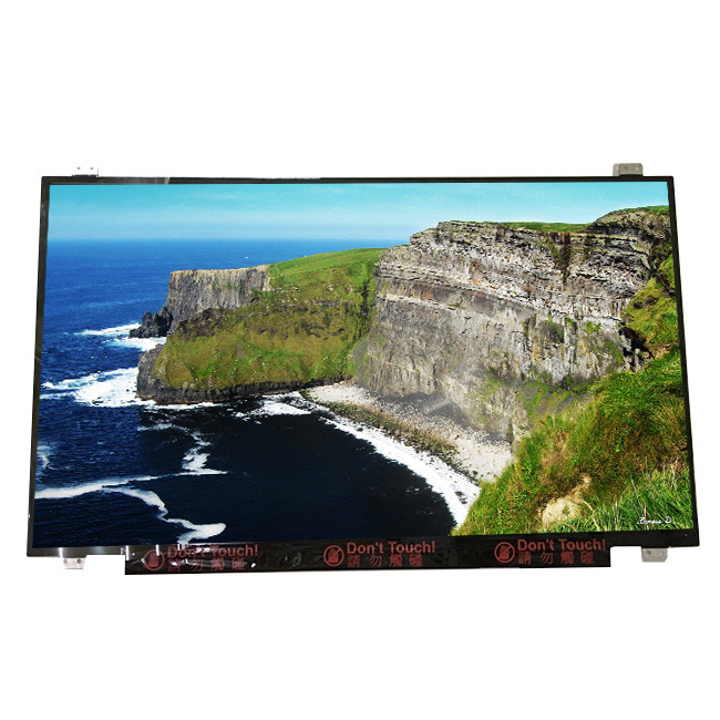 Dimensione 17,3 pollici B173RTN02.1 30 pin TFT schermo LCD per laptop