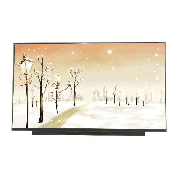 Nuovo schermo LCD da 17,3 pollici B173HAN04.0 1920*1080 127PPI per AUO