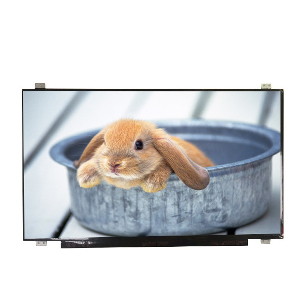 Fornitura B173HAN01.4 dimensione 17,3 pollici Matte Rivestimento rigido schermo LCD