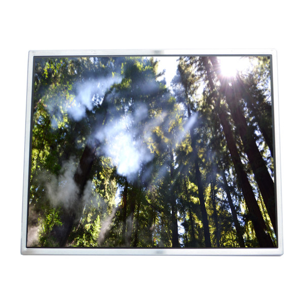 LTM190M2-L01 Display LCD da 19,0 pollici
