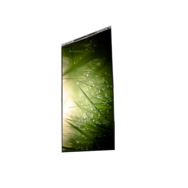 BS055FHG-E41-6C00 Display LCD 5,5 pollici
