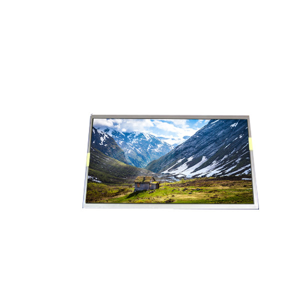 LP101WH1-TLB5 schermo LCD a 40 pin da 10,1 pollici pannello LCD per laptop