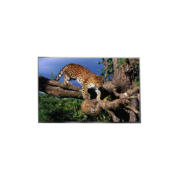 Display LCD LP156WFC-SPD8 da 15,6 pollici FHD IPS TFT per laptop