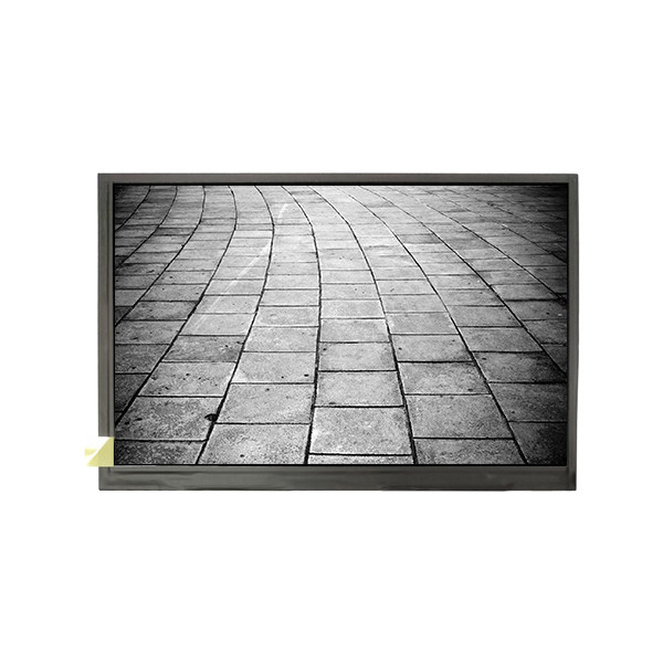 COG-VLBJT009-01 Monitor LCD da 5,0 pollici 800*480 1000 cd/m2