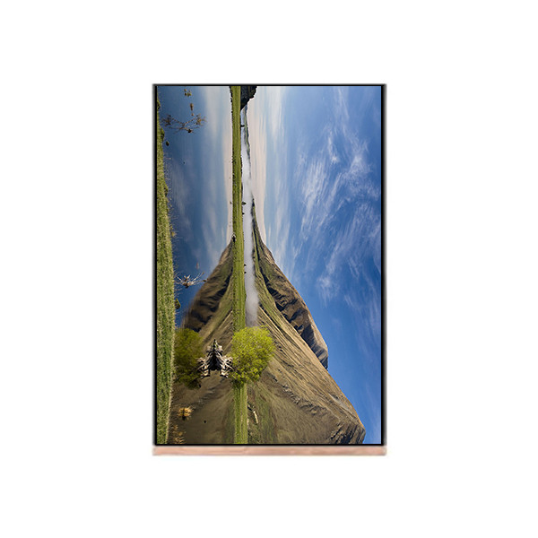 NV103WUM-N61 10,3 pollici 1200*1920 schermo LCD Display For Pad Tablet