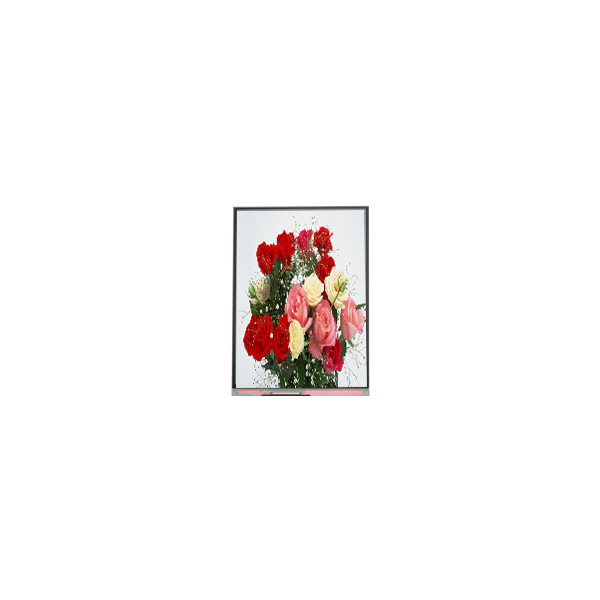 C065SWR4-0 Originale in magazzino 6,5 pollici 540*1200 schermo LCD