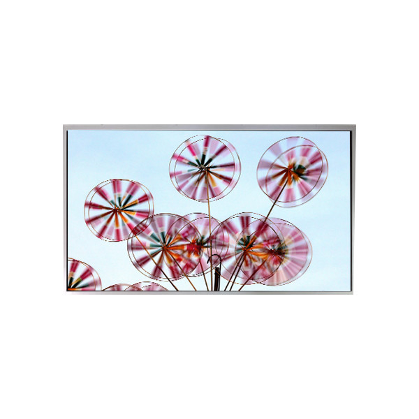 M270DAN05.0 CELL 27.0 pollici 2560*1440 a-Si TFT-LCD Screen Panel