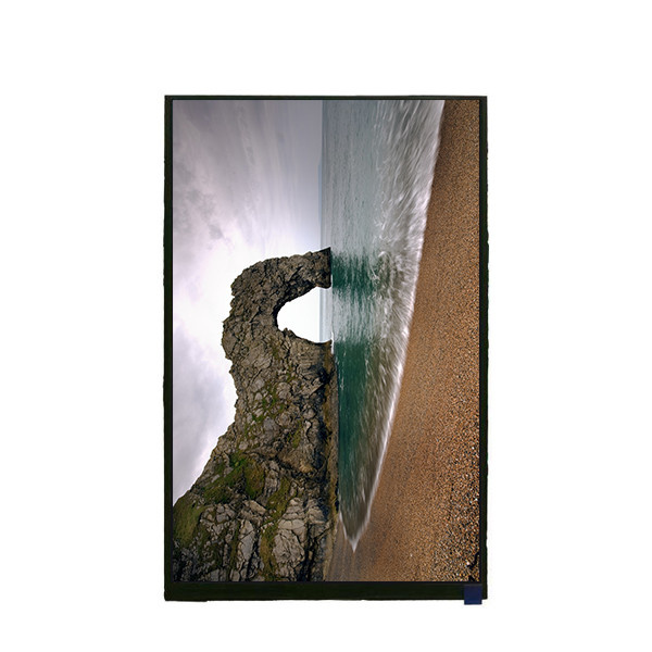 10.1 pollici 1200*1920 LCD Display Panel TV101WUM-NX0 per Pad Tablet