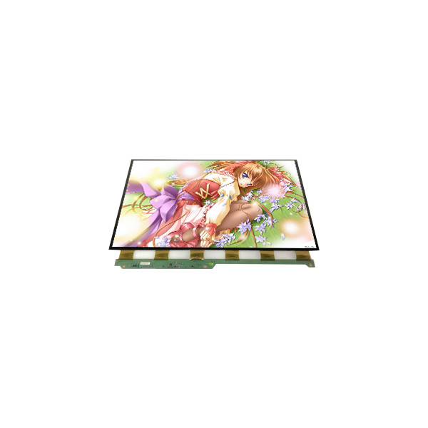 Originale in magazzino 3,8 pollici NL3224ER24-03 LCD Display Screen per portatili e PDA