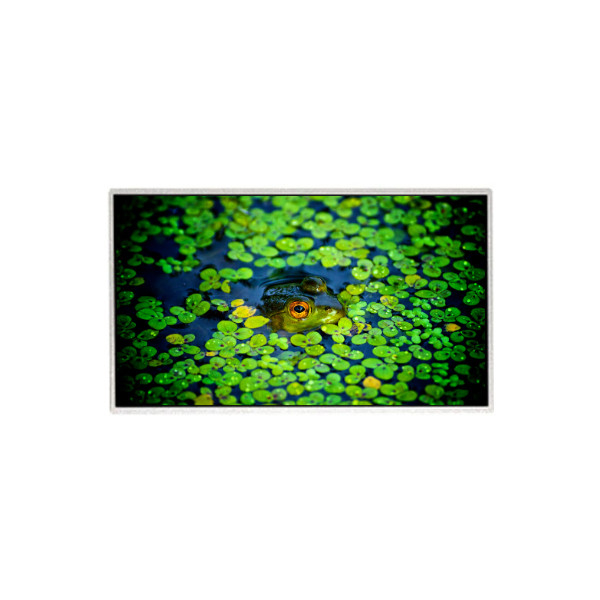 HR236WU3-301 23,6 pollici 1920*1080 schermo LCD per monitor desktop