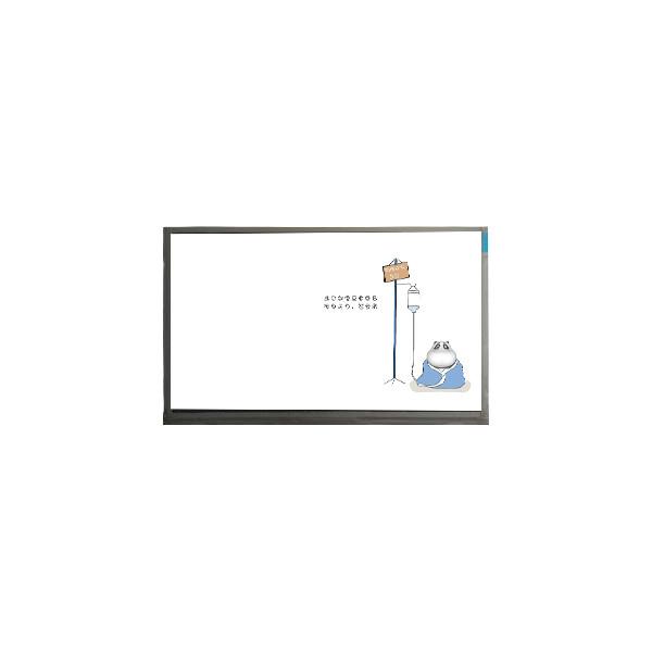 M195FGK-L30 TFT-LCD Display 19,5 pollici 1600*900 LCD Modulo LCD Pannello