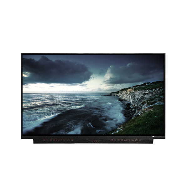 IT1160030 Pannello LCD da 11,6 pollici per BOE 30 pin 1366*768 TFT LCD Screen