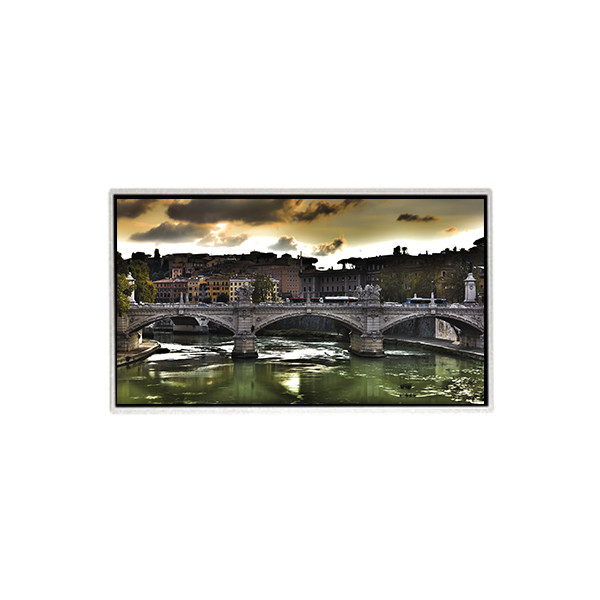 Monitor LCD da 23,6 pollici HM236WU3-110 1920*1080 Display LCD a pannello TFT