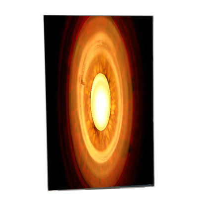 Buon prezzo Esposizione automobilistica di 800×1280 TV080WXM-NS0 ft dell'affissione a cristalli liquidi del modulo a 8,0 pollici dello schermo in linea