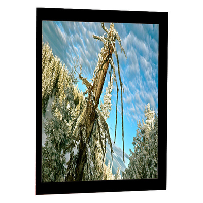 Buon prezzo Antiriflessione LCD a 5,0 pollici del pannello LQ5AW136 della visualizzazione di RGB 320x234 in linea
