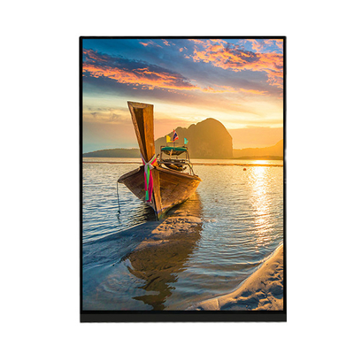 Buon prezzo Pannello LCD a 7,9 pollici LQ079L1SX01 della visualizzazione 1536×2048 per l'iPad Mini 2 3 in linea