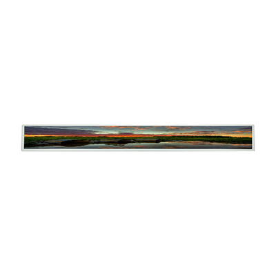 Buon prezzo Sostituzione LCD a 28,6 pollici dei moduli dell'esposizione del pannello LD290EJS-FPN1 dell'affissione a cristalli liquidi del LG Display in linea