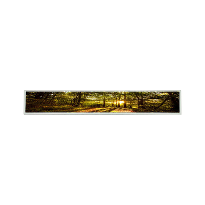 Buon prezzo Modulo a 29 pollici dell'esposizione di TFT LCD LCM di un-si LSI290LN01 in linea