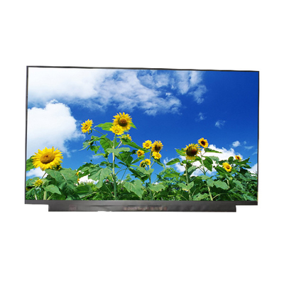 Buon prezzo Pannello LCD AUO a strisce verticali da 15,6 pollici B156HAN13.0 SCHERMO LCD a 10 pin in linea