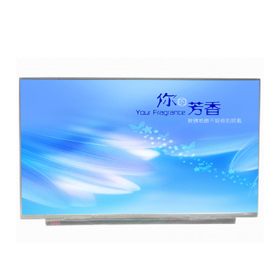 Buon prezzo Riquadro LCD da 15,6 pollici a banda verticale AUO B156XTN08.1 1366*768 100PPI in linea