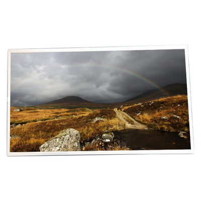 Buon prezzo Esposizione a 21,5 pollici del touch screen di 1920x1080 LM215DT8A in linea