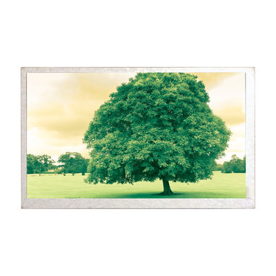 Buon prezzo Pannello LCD a 8,0 pollici dello schermo di visualizzazione di TFT Hannstar HSD080IDW1-C01 di nuova dell'automobile navigazione originale di GPS in linea