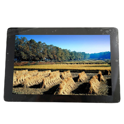 Buon prezzo 10.1 POLLICI 1280*800 149PPI B101EAN01.7 SCHERMO LCD 34 pin in linea
