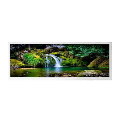 Buon prezzo Pannello schermo LCD 1920 * 720 da 10,3 pollici HSD103JPW2-A00 in linea