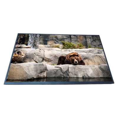 Buon prezzo Esposizione a 23,8 pollici LCD originale di LCD di risoluzione 1920*1080 dello schermo EV238FHM-N13 di BOE in linea