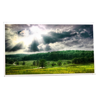 Buon prezzo 21Display LCD da 2,5 pollici M215HGE-L21 1920*1080 30 pin in linea