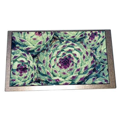 Buon prezzo 6.2 pollici HSD062IDW1-B00-C00 pannello LCD 800 * 480 schermo LCD in linea