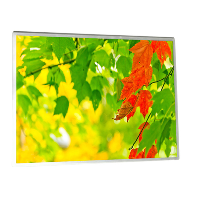 Buon prezzo HSD121PX11-A00 Nuovo display LCD da 12,1 pollici 1024*768 in linea