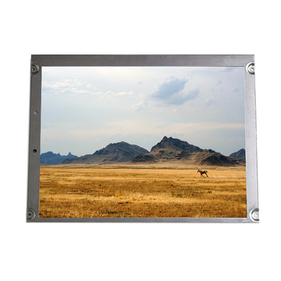 Buon prezzo Display LCD NL10276BC24-36KD per l'industria in linea