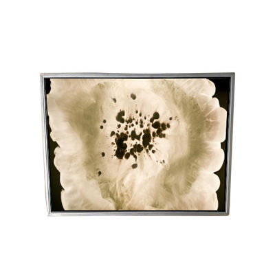 Buon prezzo Display LCD da 80 pin 120PPI NL204153BM21-01A in linea