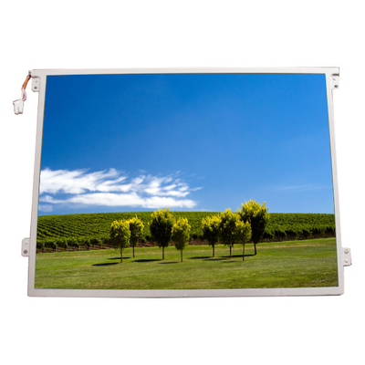 Buon prezzo Nuovo display LCD LTD104EA5S da 10,4 pollici in linea