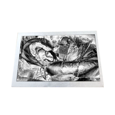 Buon prezzo Industria TX13D06VM2BAA 5,0 pollici 188PPI LCD in linea